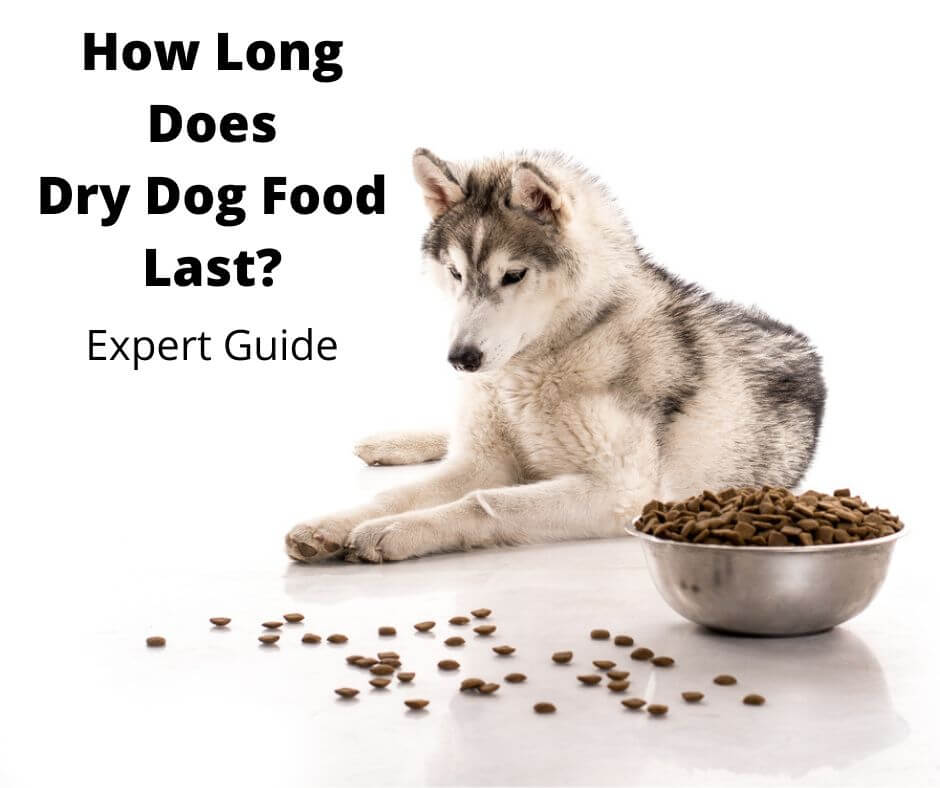 Dry Dog Food Shelf Life: Complete Storage and Freshness Guide