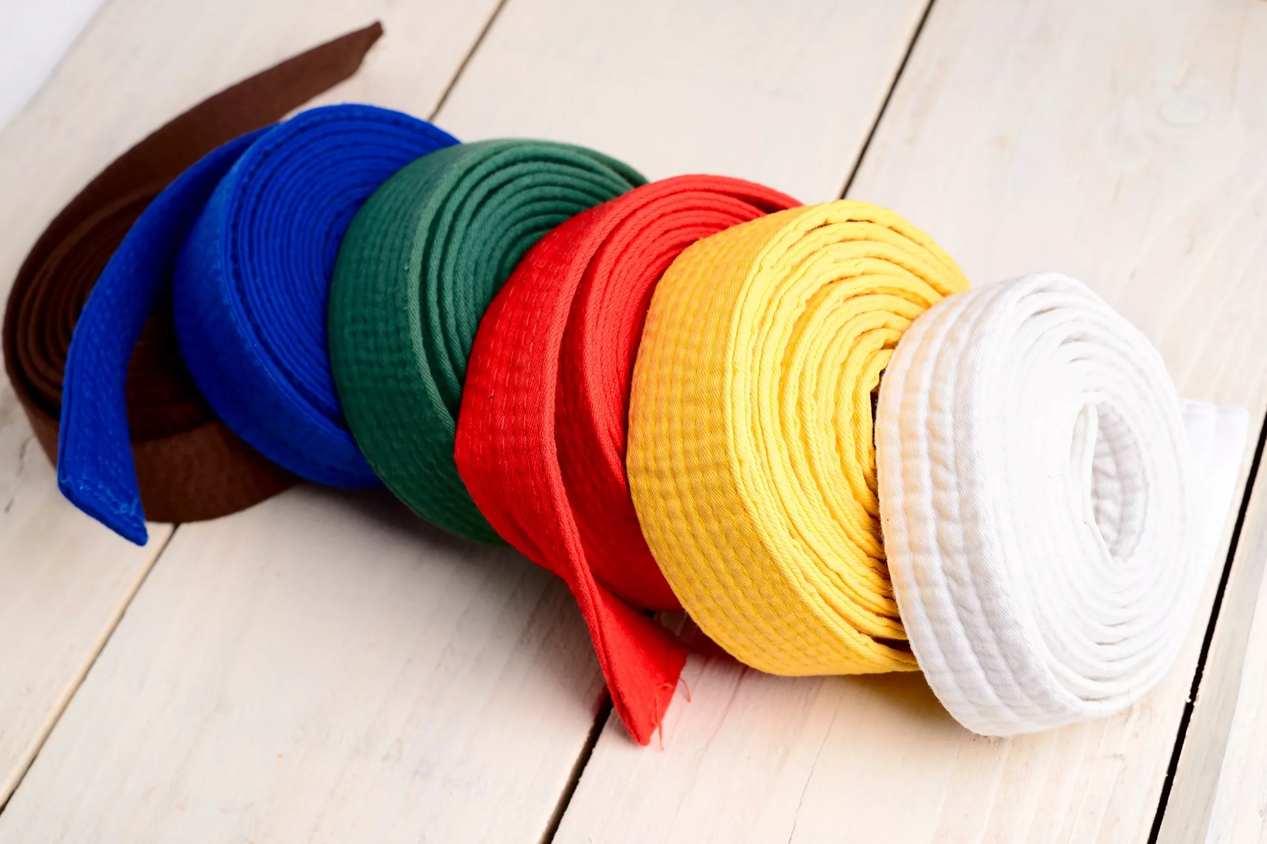 Martial Arts Belt Systems: Complete Guide to Ranking Progression