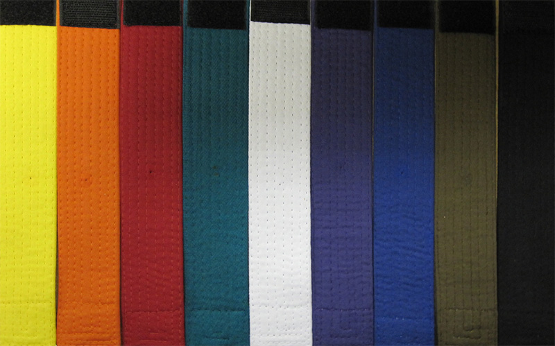Martial Arts Belt Systems: Complete Guide to Ranking Colors and Progression