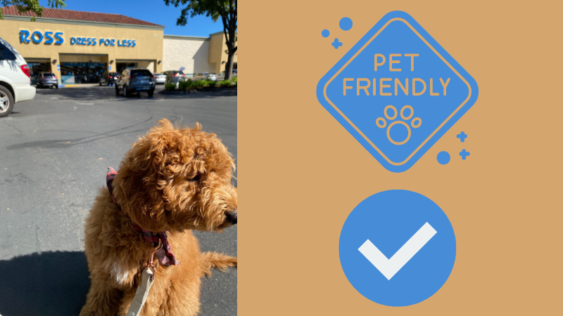 Ross Pet Policy: Complete Guide to Shopping with Your Furry Friends