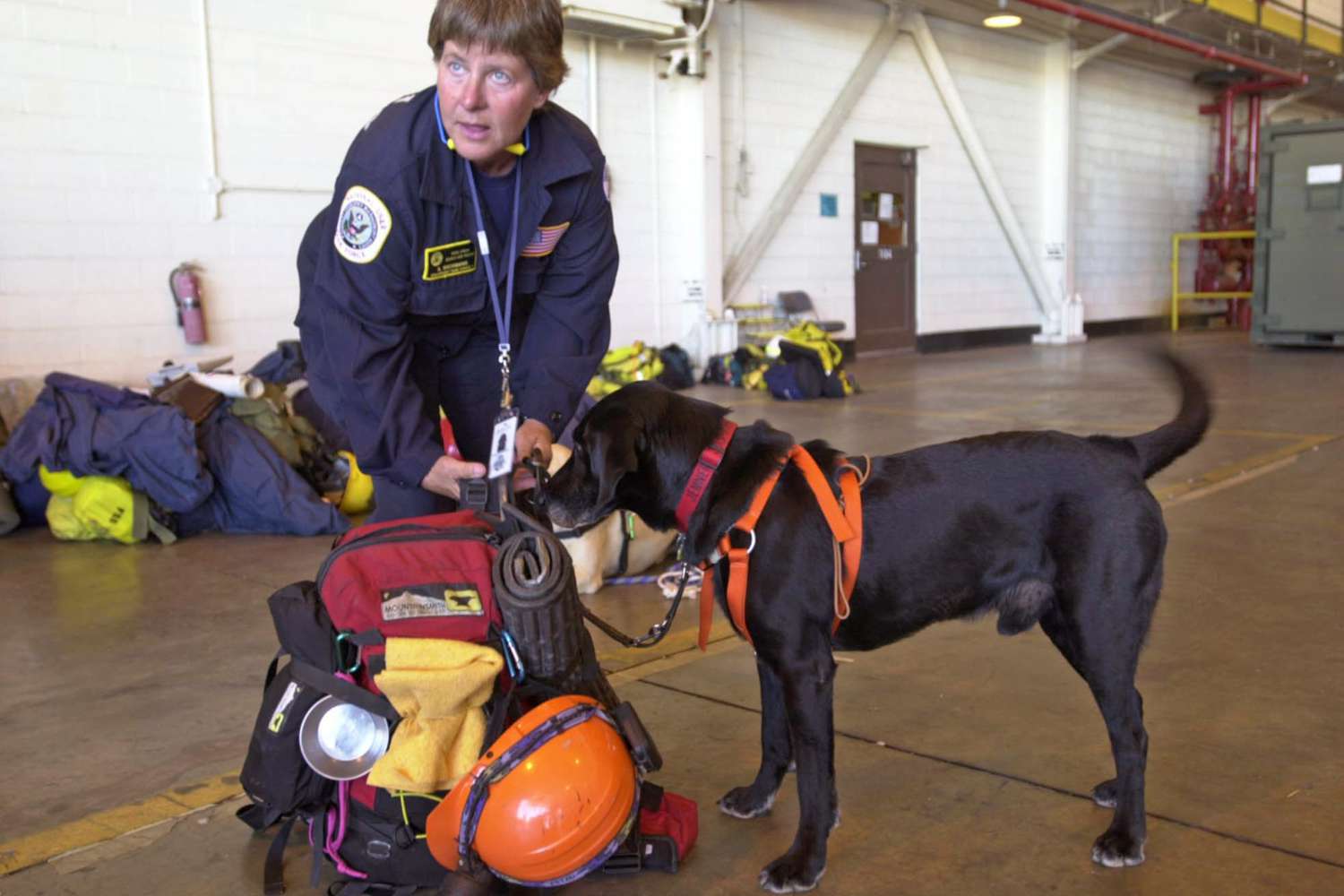 Emergency Pet Care Services: Your Complete Guide to Veterinary Crisis Response