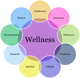 Nine Dimensions of Wellness: Complete Guide to Holistic Health