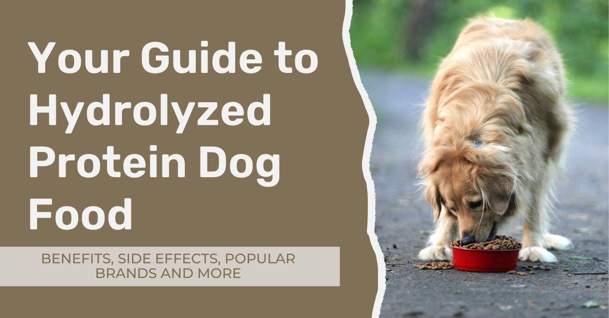 Hydrolyzed Dog Food: Complete Guide to Hypoallergenic Nutrition for Sensitive Dogs