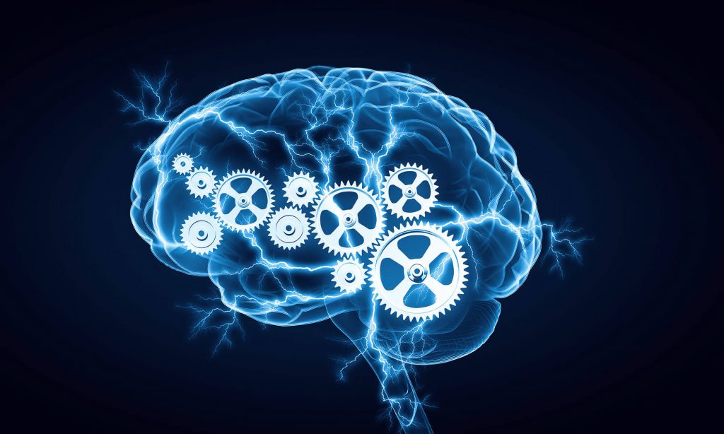 Unlocking Intellectual Wellness: Strategies for Lifelong Growth and Cognitive Vitality