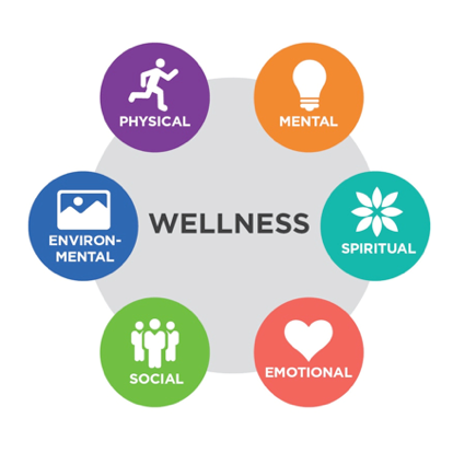 Wellness: The Complete Guide to Achieving Your Best Self
