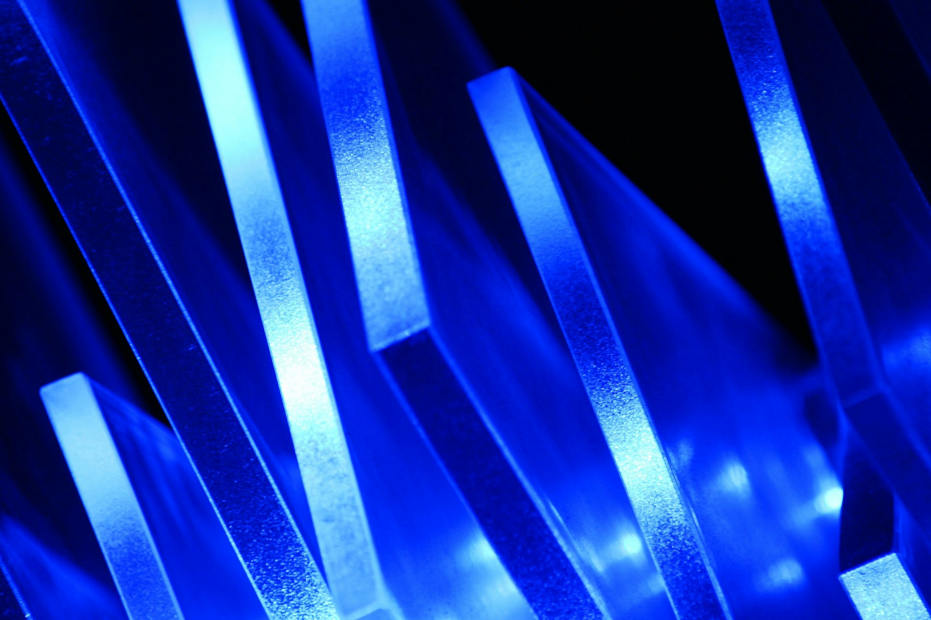 Fibermaxxing: A Stepwise Approach to Gradual Fiber Intake for Lasting Wellness