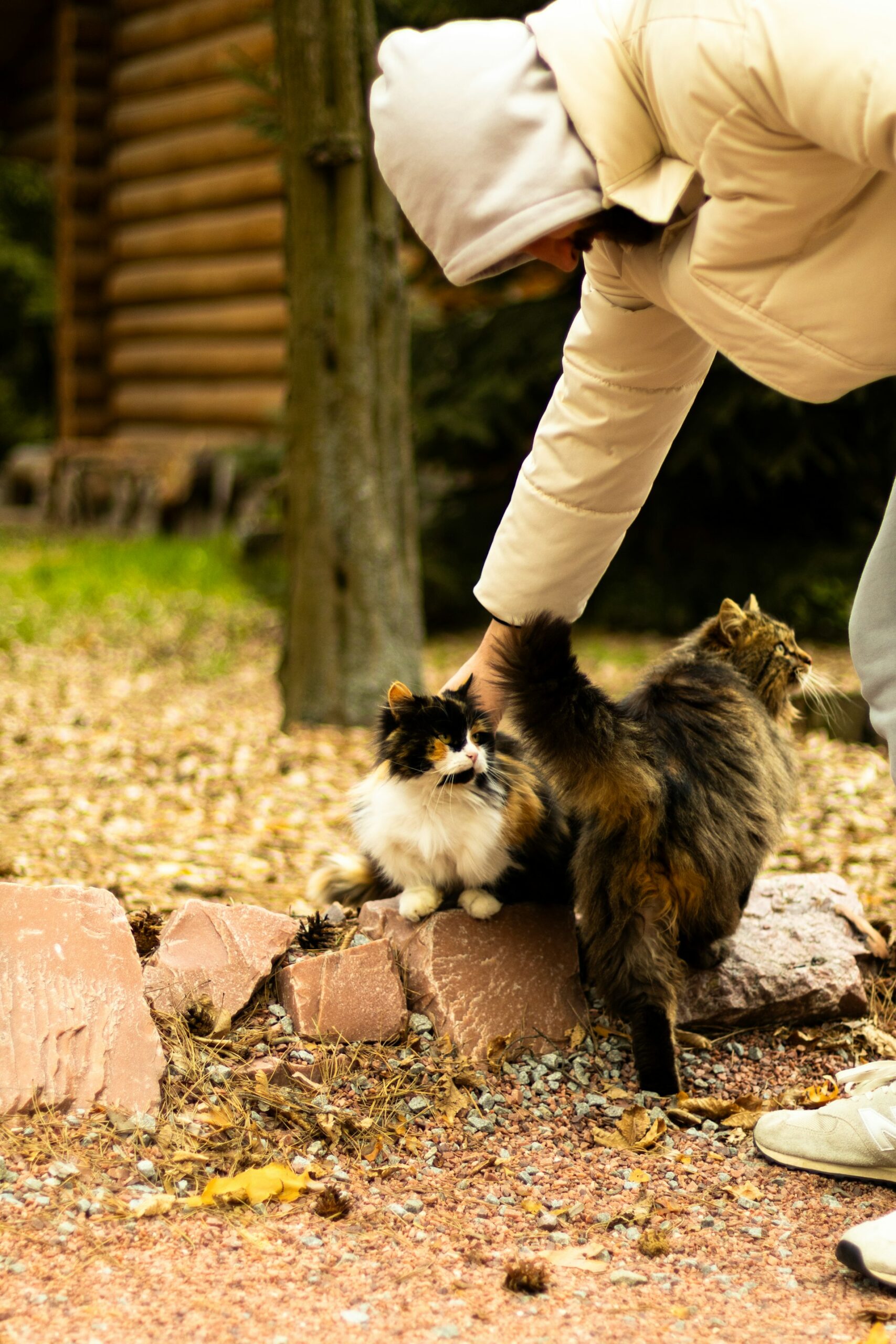 Your Guide to Sustainable Pet Care: Practical Steps for an Eco-Conscious Lifestyle