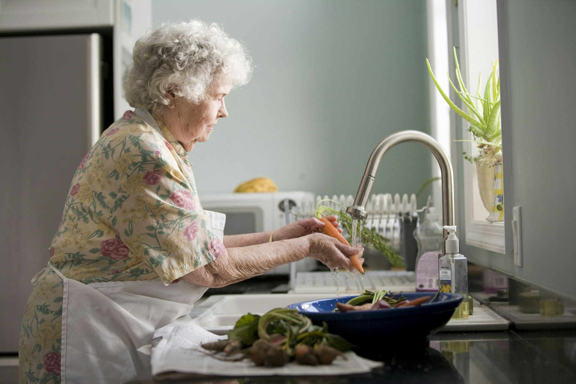 Unlocking Longevity: How Nutrition Shapes a Healthier, Longer Life