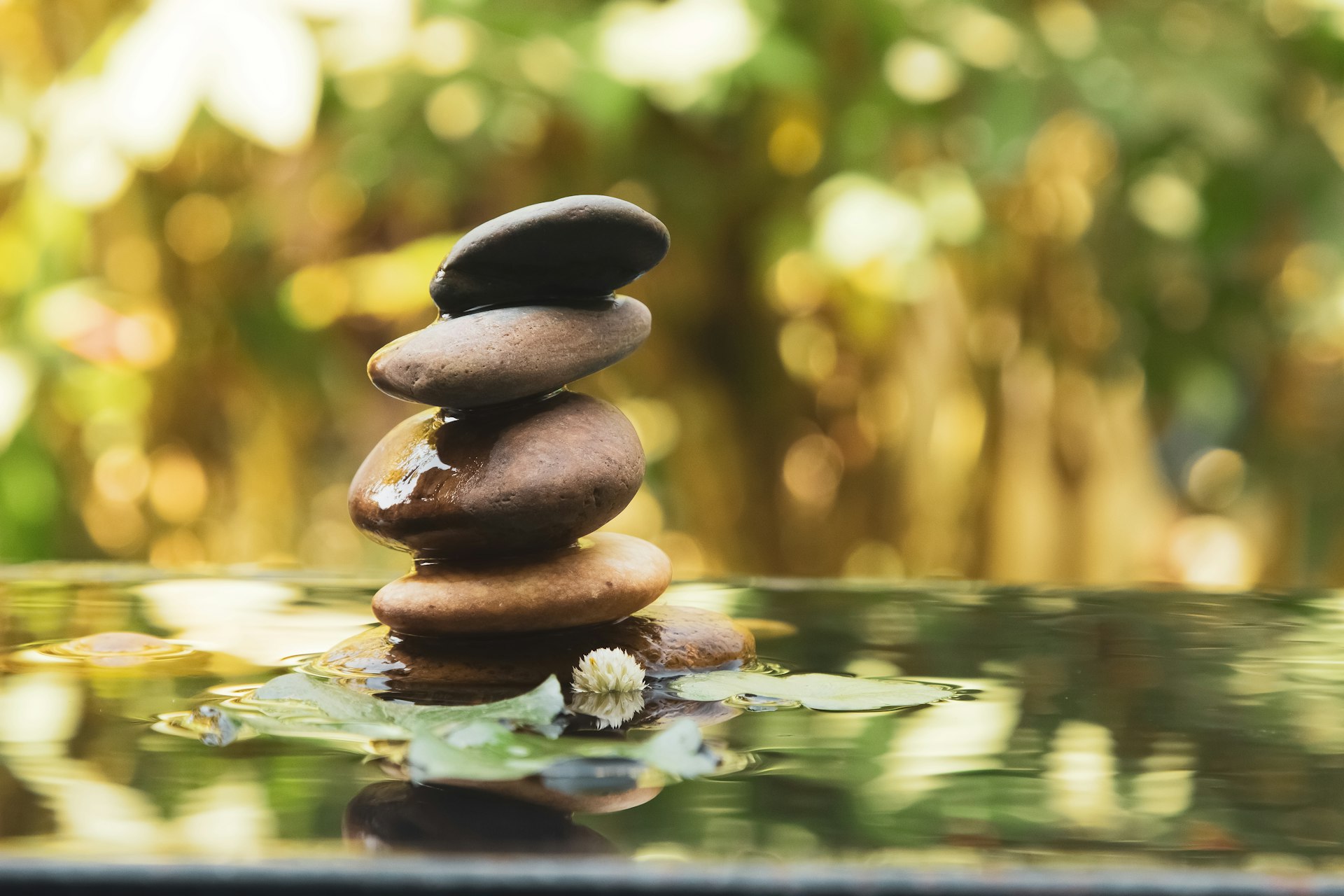Proven Wellness Practices to Improve Work-Life Balance
