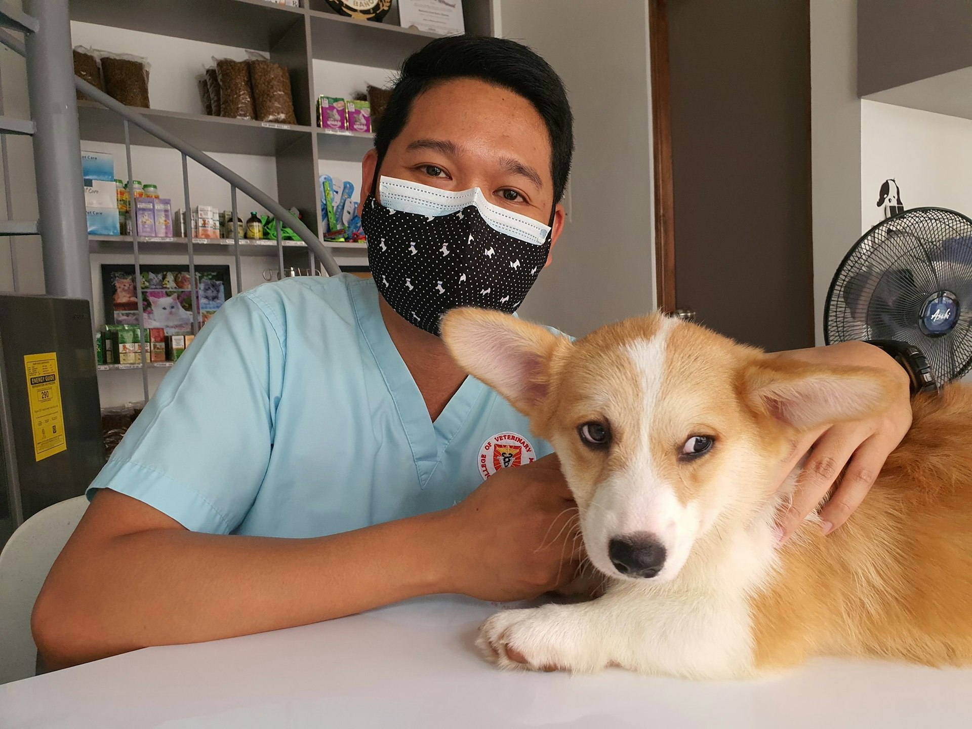 Can You Use an HSA for Pet Expenses? Your Guide to Pet Healthcare Savings Options