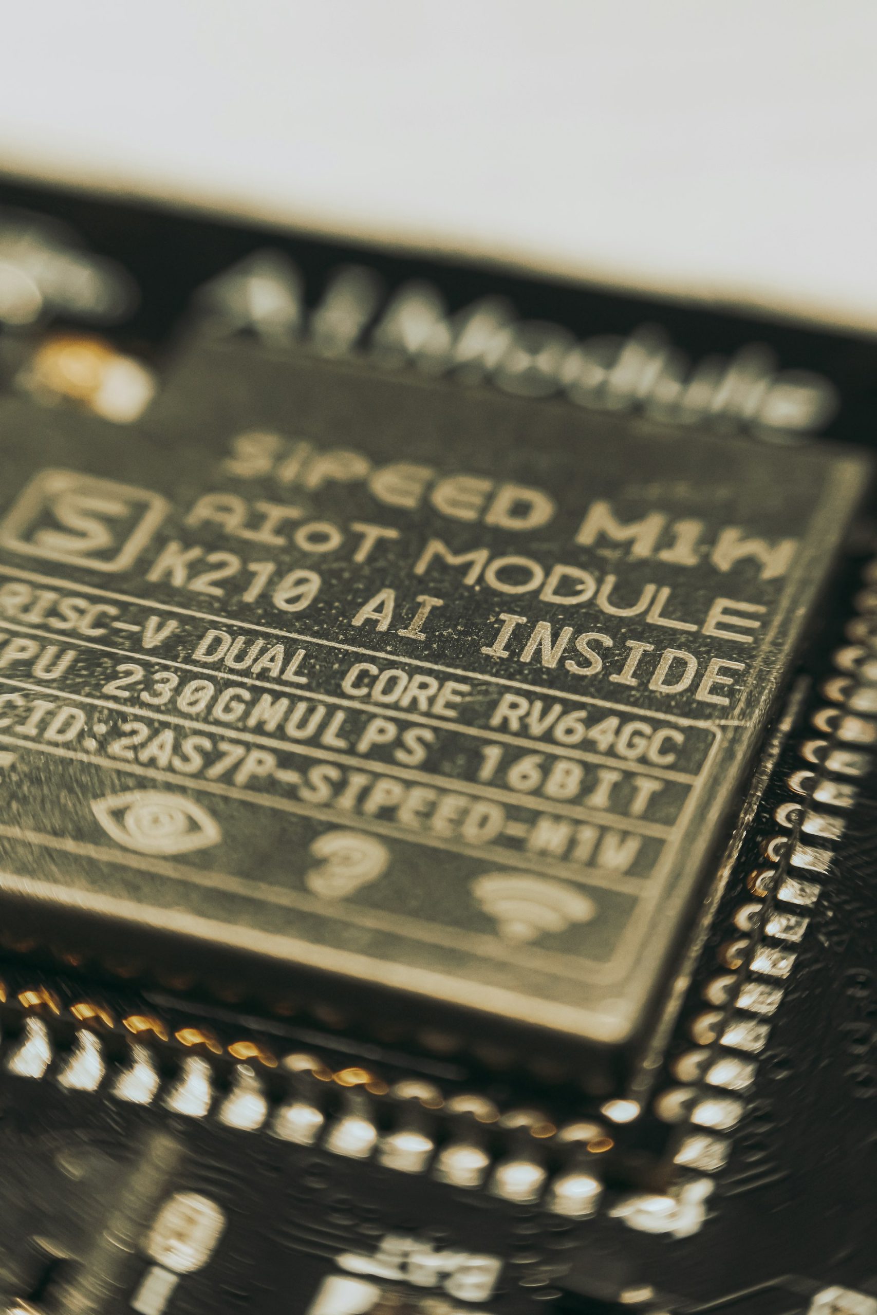 Unpacking Open Hardware: The Evolution and Impact of RISC-V Processors