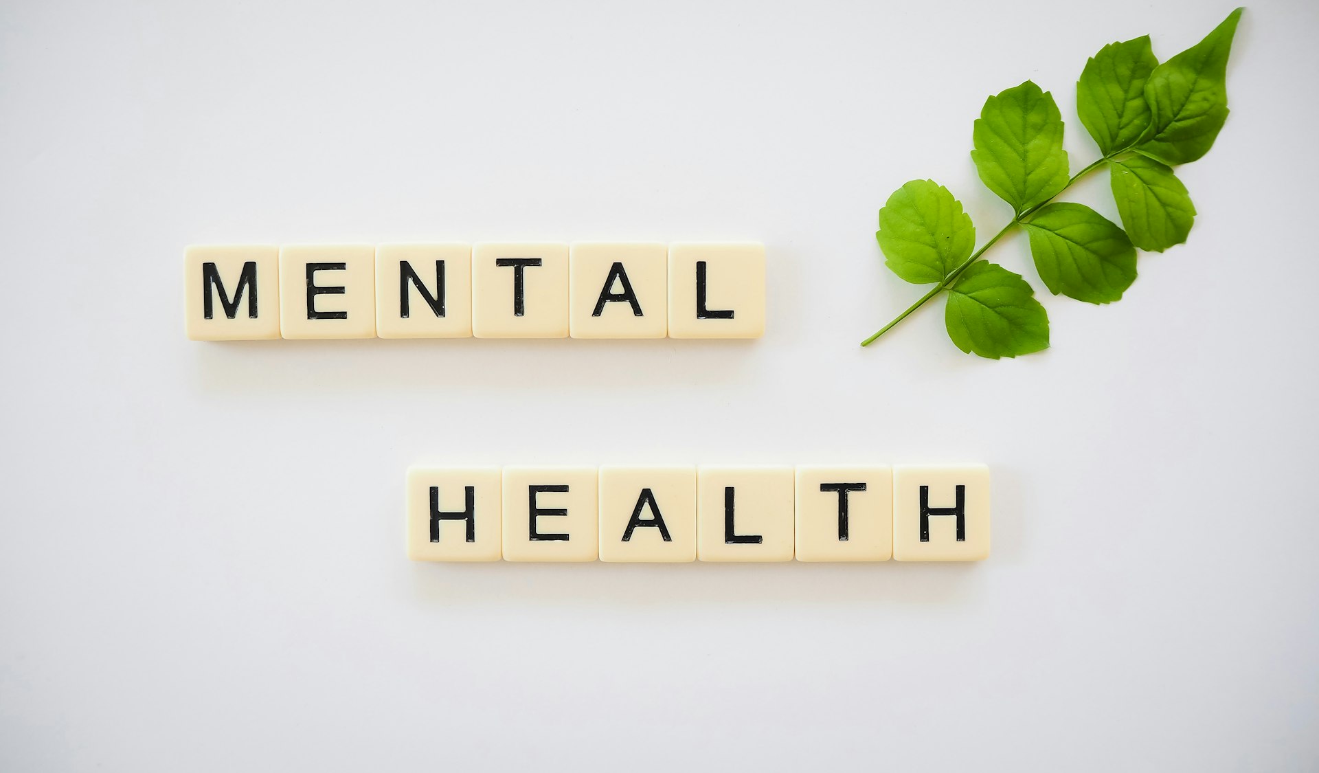 How Time Spent in Natural Spaces Nurtures Mental Health