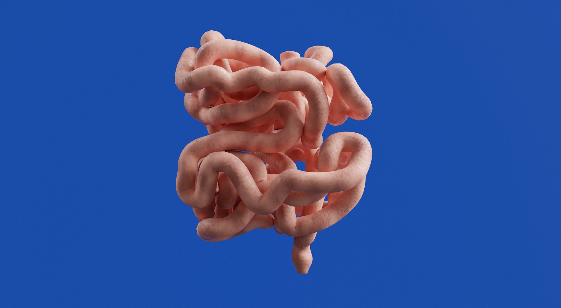Uncovering the Link Between Gut Health and Personalized Dietary Choices