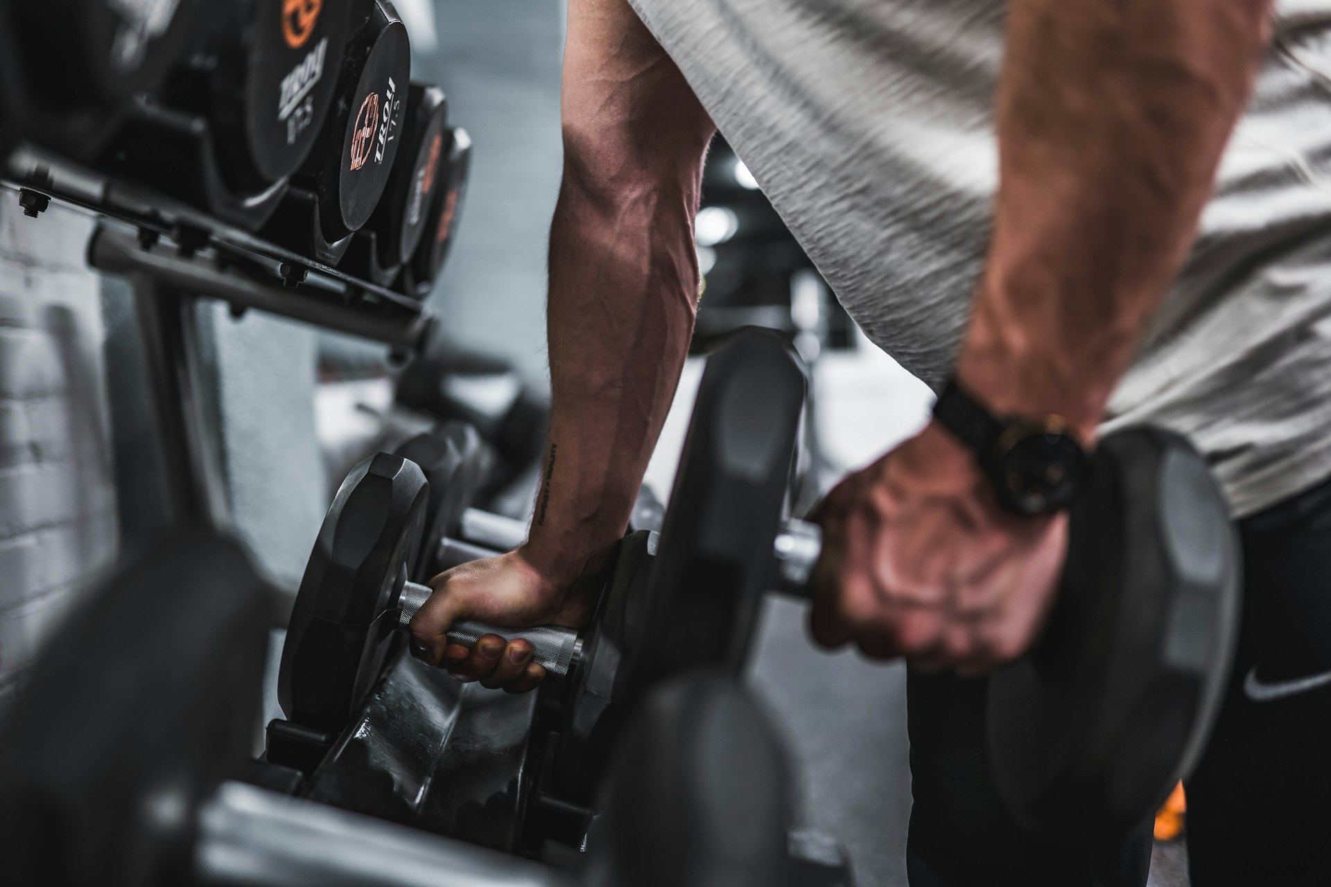 The Synergistic Link Between Sustained Muscle Function and Metabolic Steadiness