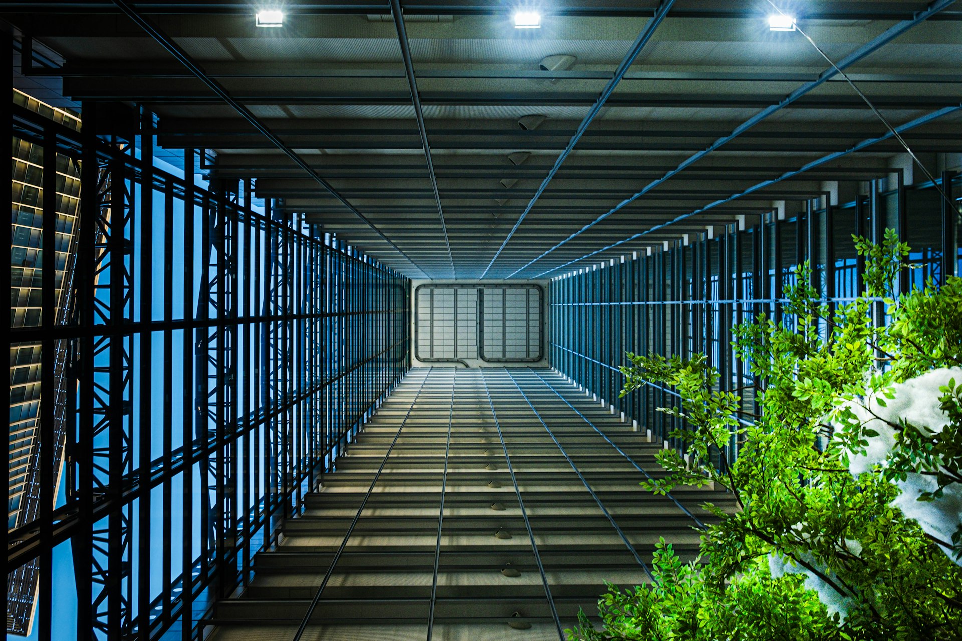 Balancing Resilience and Longevity: Navigating Open-Source Ecosystem Challenges