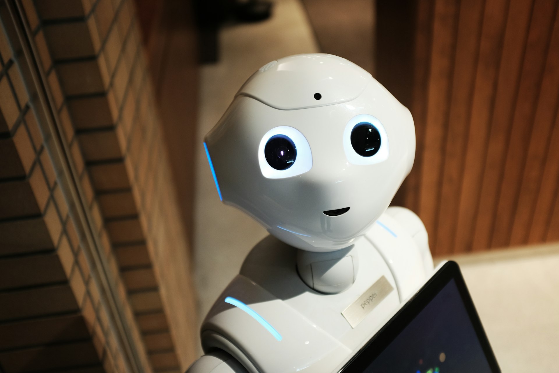 Bridging Digital Intelligence and Physical Action: Real-World Impacts of Embodied AI Systems